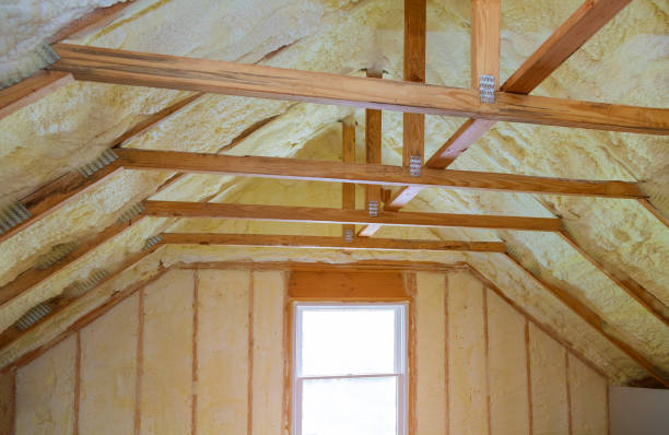 Insulation Repair Services in Salem, SD