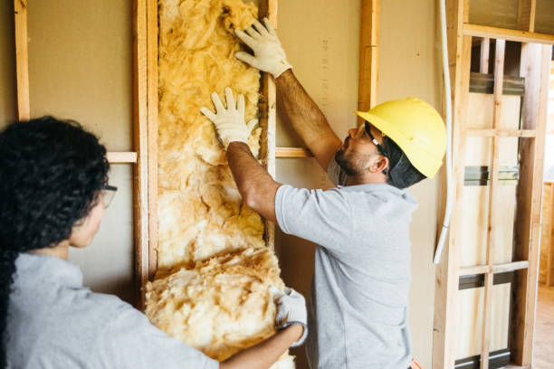 Insulation Inspection Services in Salem, SD